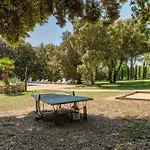 Renoir - Mas De Rey Arpaillargues-et-Aureillac