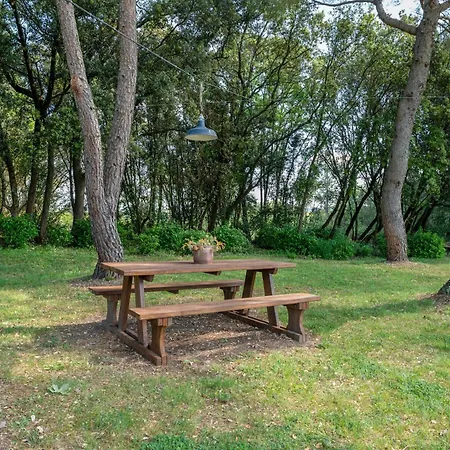 Renoir - Mas De Rey Holiday home Arpaillargues-et-Aureillac
