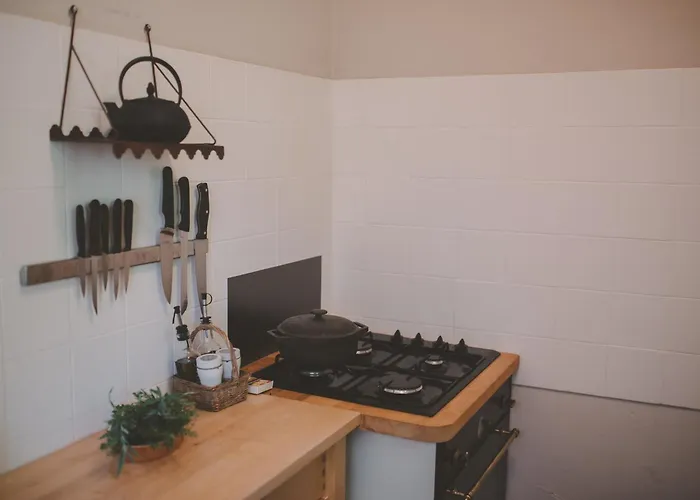 Renoir - Mas De Rey *